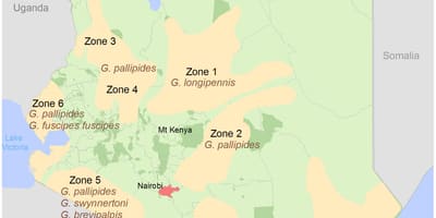 Kenya institut de la topografia i la cartografia 2016 ingesta
