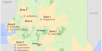 Kenya institut de topografia i cartografia de cursos